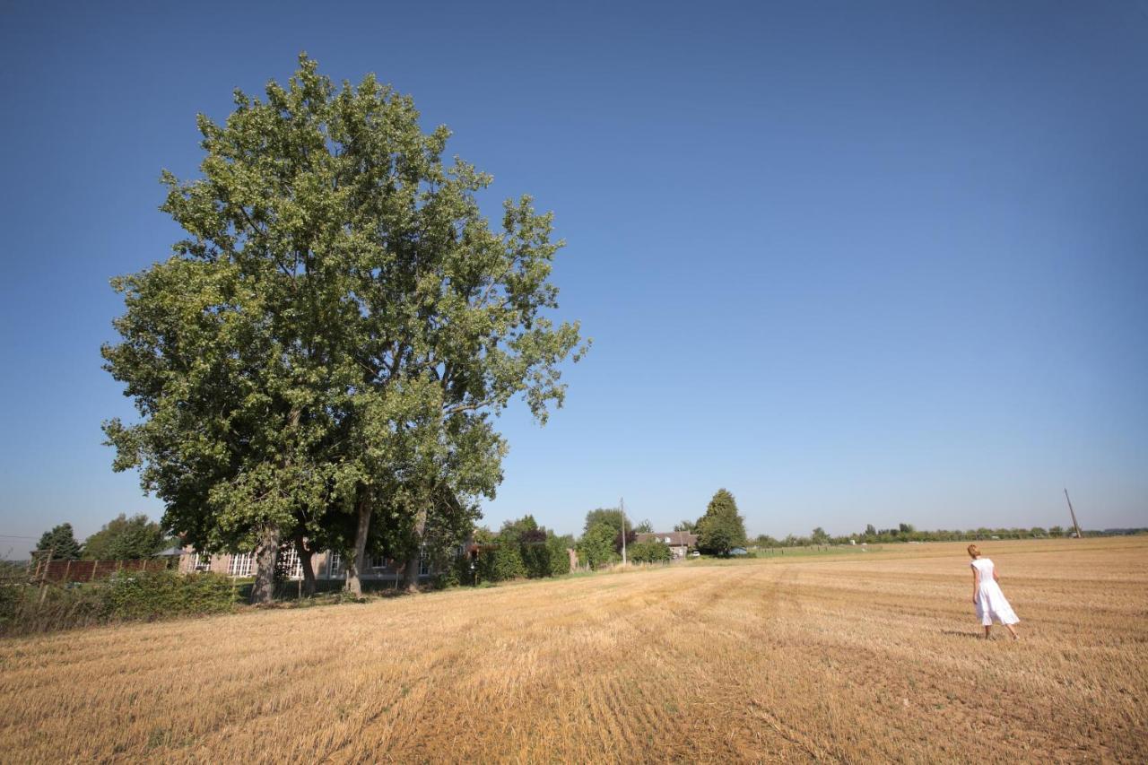 B&B Het Rooj Holsbeek ภายนอก รูปภาพ